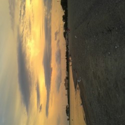 Sun Set Chic